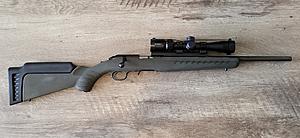 Click image for larger version.&nbsp;

Name:	Cub 1.jpg&nbsp;
Views:	138&nbsp;
Size:	229.7 KB&nbsp;
ID:	17367